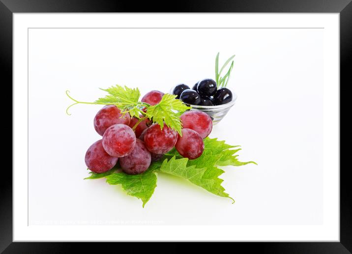 Juicy and Minimal Grapes and Olives Framed Mounted Print by Dudley Wood