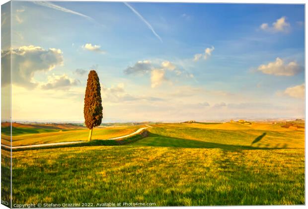 Landscape of Tuscany, cypress tree and a road. Siena Canvas Print by Stefano Orazzini