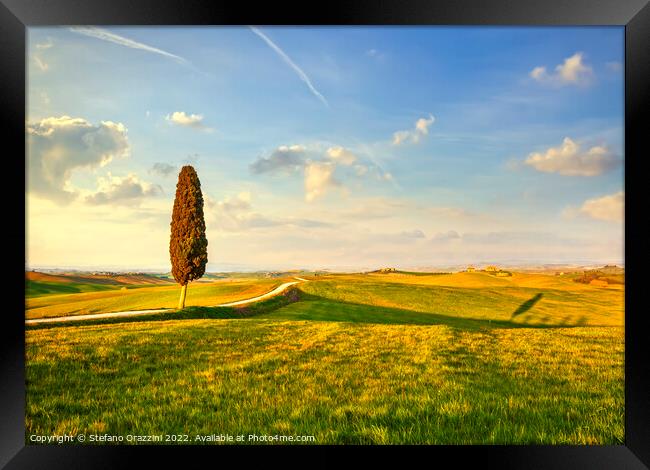 Landscape of Tuscany, cypress tree and a road. Siena Framed Print by Stefano Orazzini