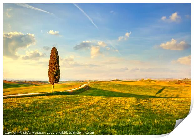 Landscape of Tuscany, cypress tree and a road. Siena Print by Stefano Orazzini