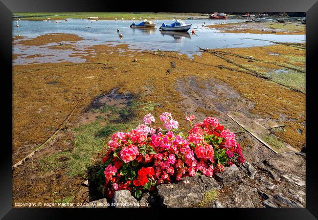 Serene Estuary Scene Framed Print by Roger Mechan