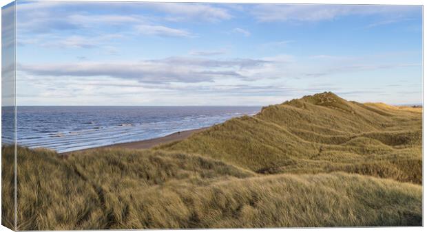 Rolling hills of the Formby sand dunes Canvas Print by Jason Wells