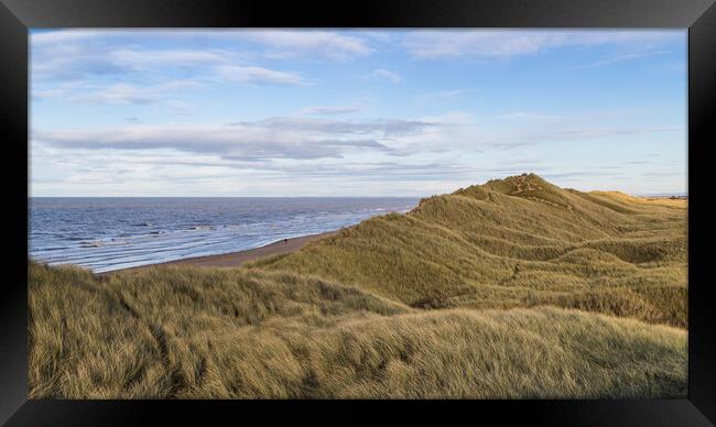 Rolling hills of the Formby sand dunes Framed Print by Jason Wells