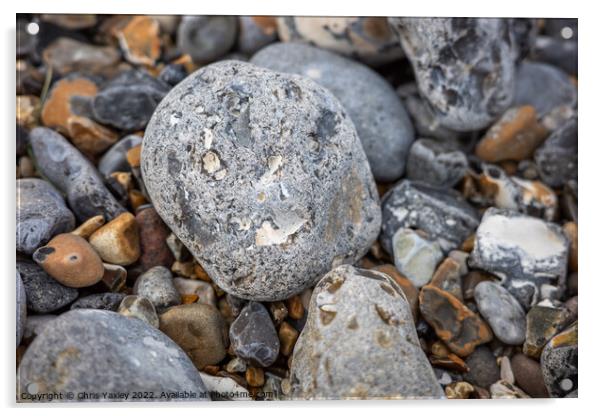 Seaside stones Acrylic by Chris Yaxley