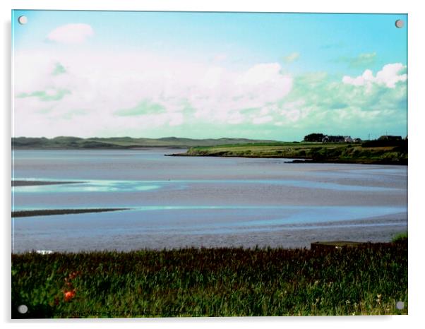 Lough Swilly,  Donegal Acrylic by Stephanie Moore