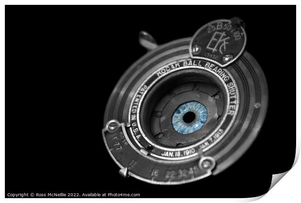 The Eye of the Camera Print by Ross McNeillie