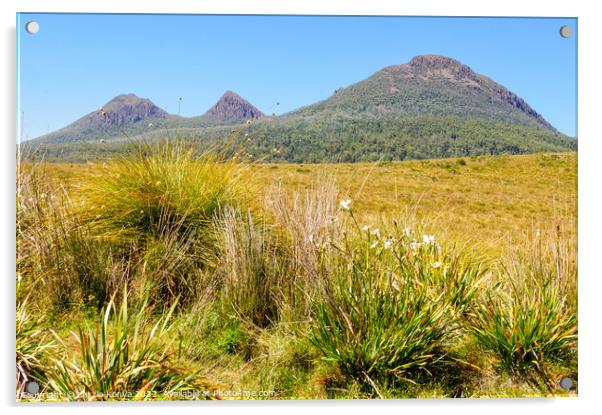 King William Range - Tasmania Acrylic by Laszlo Konya