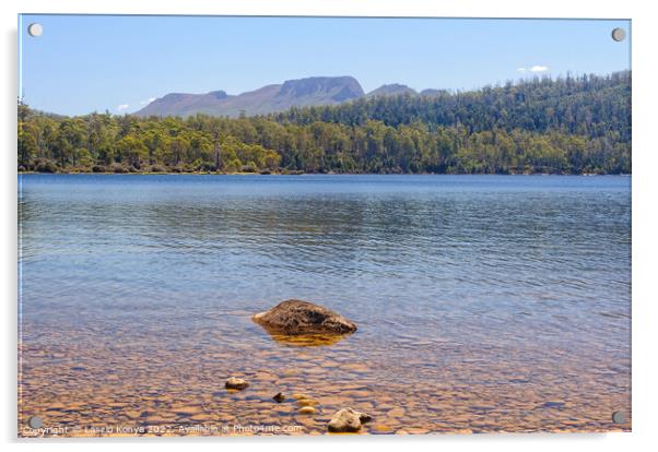 Lake St Clair - Tasmania Acrylic by Laszlo Konya