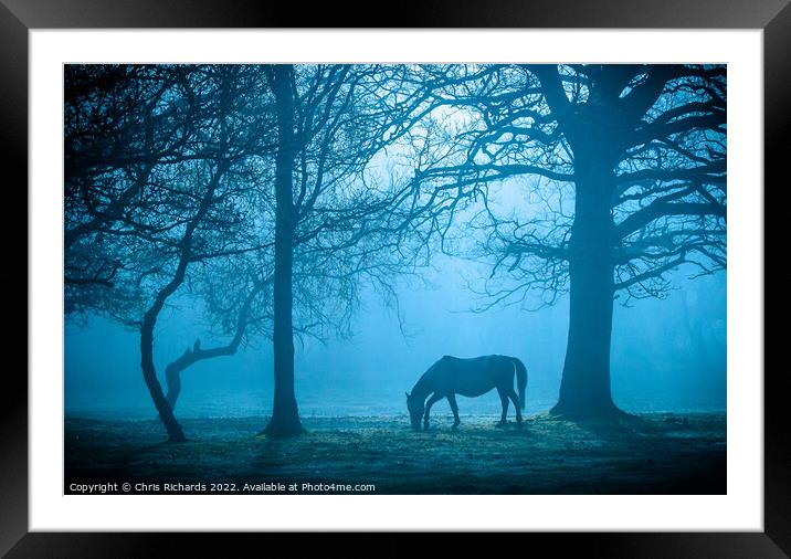 Horse in Morning Mist Framed Mounted Print by Chris Richards