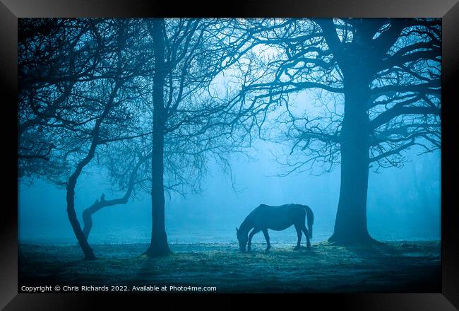Horse in Morning Mist Framed Print by Chris Richards
