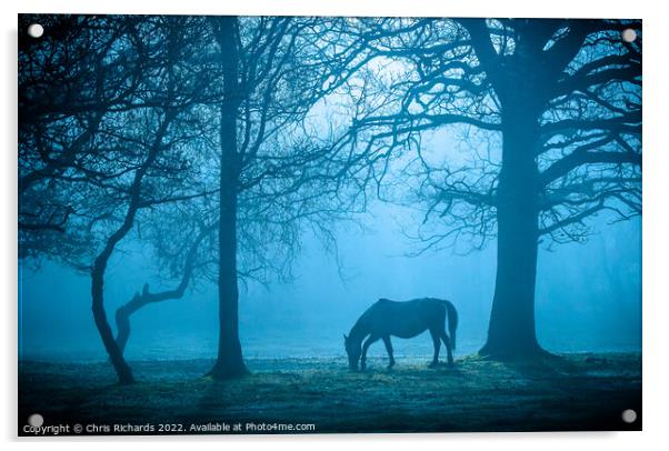 Horse in Morning Mist Acrylic by Chris Richards
