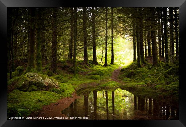 Coed Y Brenin Forest, Snowdonia Framed Print by Chris Richards