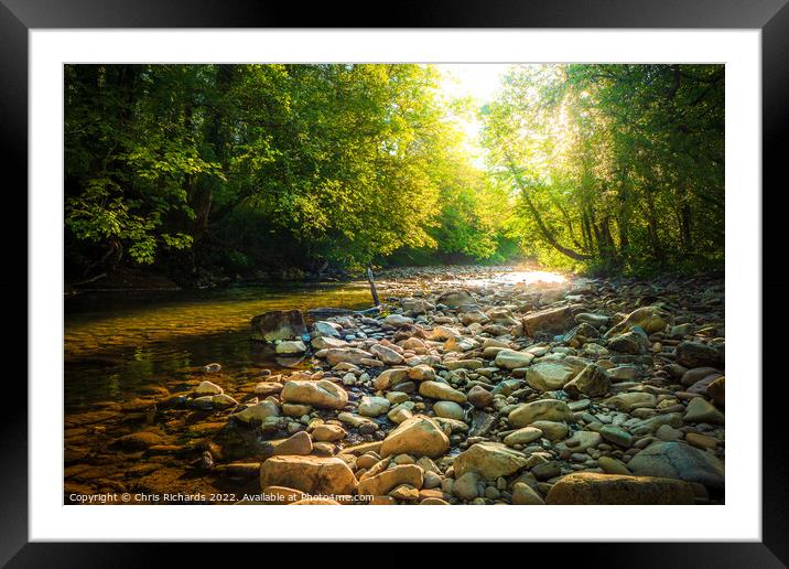Spring Morning on the River Tawe Framed Mounted Print by Chris Richards