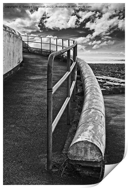 Barrier  Print by George Davidson