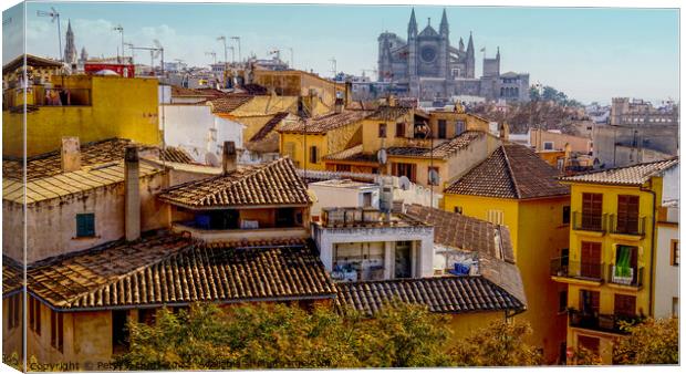View Over The Rooftops  Canvas Print by Peter F Hunt