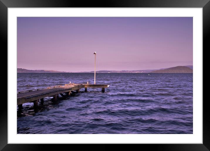 Lake Rotorua Pier at Parawai Bay Framed Mounted Print by Errol D'Souza