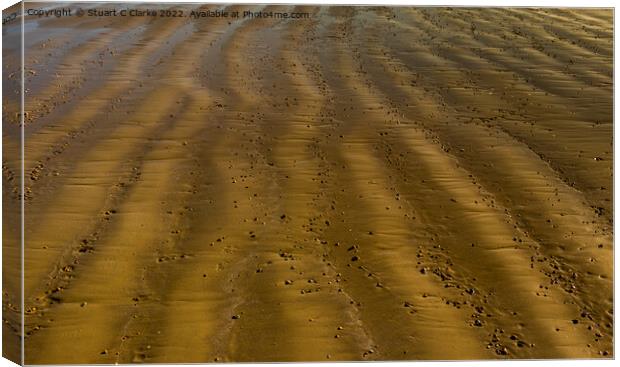 Ripples in the sand Canvas Print by Stuart C Clarke