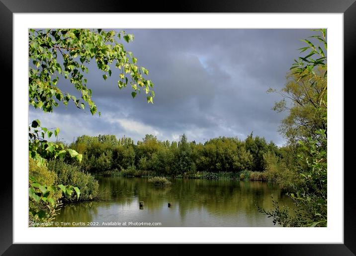 Ferrymoor Flash Nature Reserve Framed Mounted Print by Tom Curtis