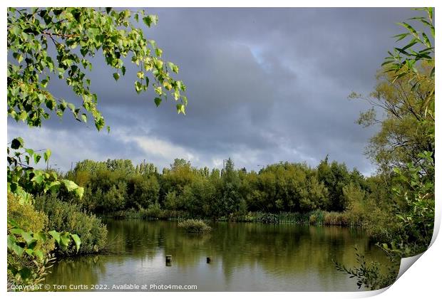 Ferrymoor Flash Nature Reserve Print by Tom Curtis