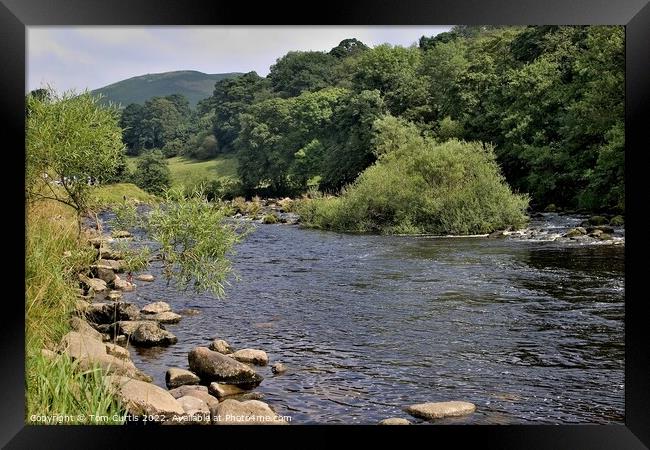 River Wharfe Bolton Abbey  Framed Print by Tom Curtis