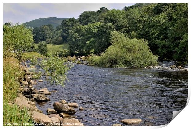 River Wharfe Bolton Abbey  Print by Tom Curtis