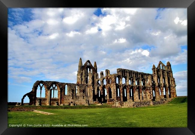 Whitby Abbey North Yorkshire Framed Print by Tom Curtis