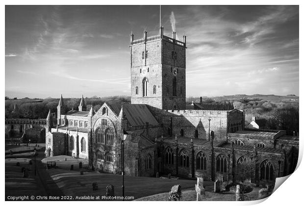 St Davids Cathedral Print by Chris Rose