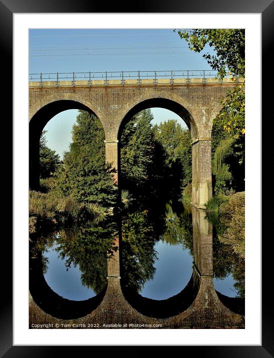 Railway Viaduct Chelmsford Framed Mounted Print by Tom Curtis