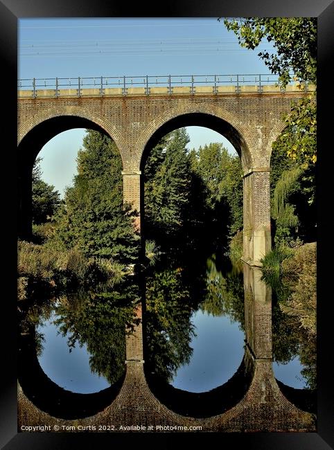 Railway Viaduct Chelmsford Framed Print by Tom Curtis