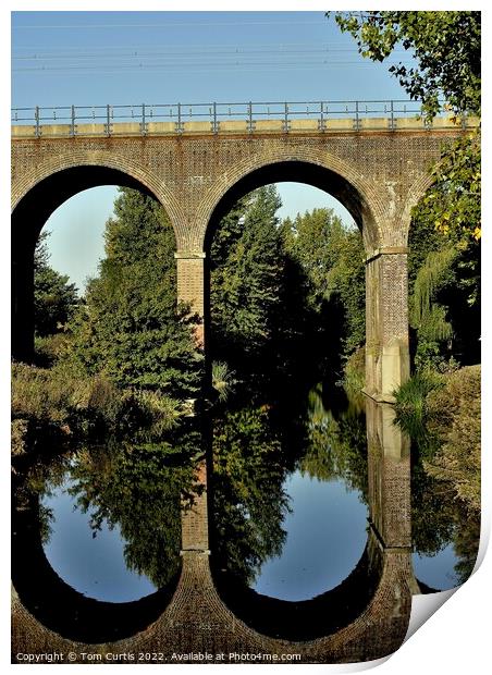 Railway Viaduct Chelmsford Print by Tom Curtis