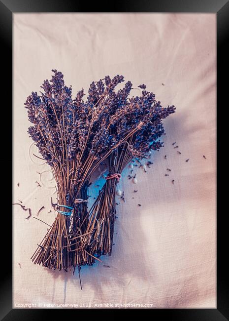 Bunches Of Dried Lavender Framed Print by Peter Greenway