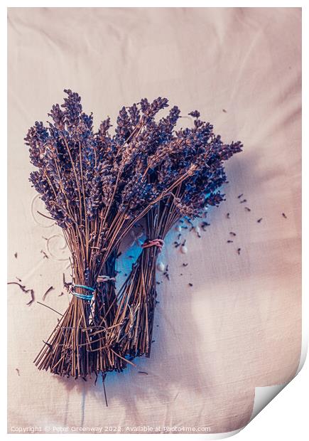 Bunches Of Dried Lavender Print by Peter Greenway