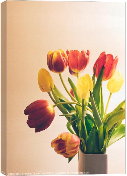 A Vase Of Spring Tulips Canvas Print by Peter Greenway