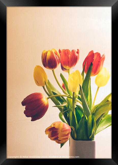 A Vase Of Spring Tulips Framed Print by Peter Greenway