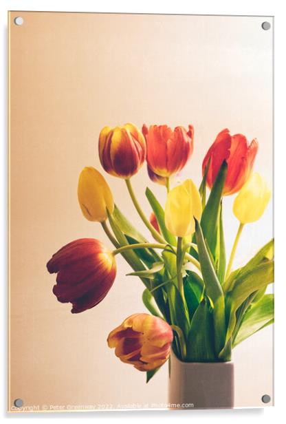 A Vase Of Spring Tulips Acrylic by Peter Greenway