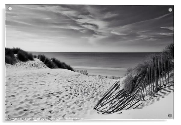 Sand Dune, Sea & Marram Grass Acrylic by Stuart Wyatt