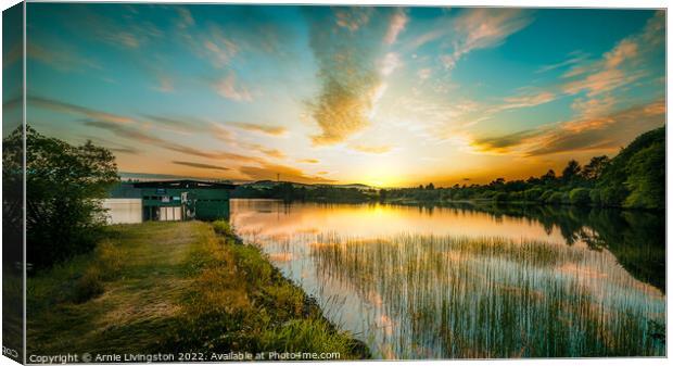 Loughmacrory boat house Canvas Print by Arnie Livingston