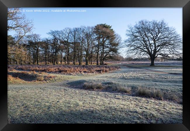 Bushy Park walk in the frost Framed Print by Kevin White