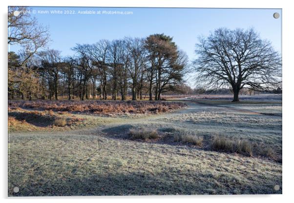 Bushy Park walk in the frost Acrylic by Kevin White