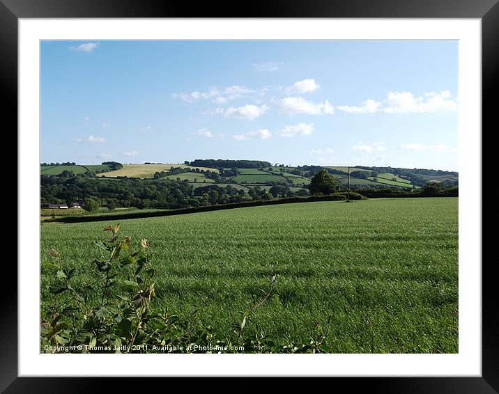 Countryside Framed Mounted Print by Thomas 