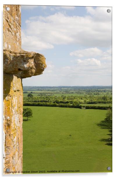 Somerset levels from the top of the tower of Holy Trinity church, Long Sutton Acrylic by Gordon Dixon