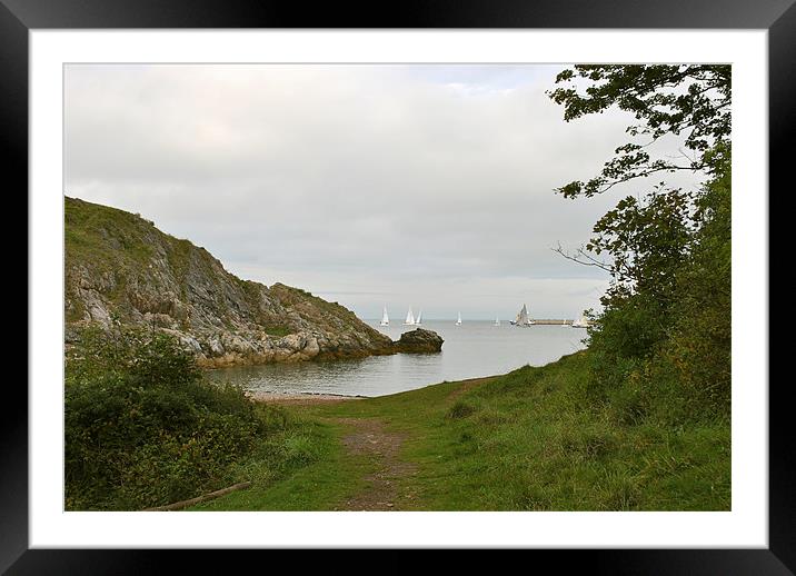 Sailing Off Churston Cove Framed Mounted Print by graham young