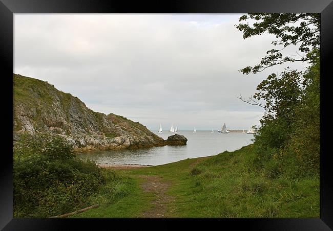 Sailing Off Churston Cove Framed Print by graham young