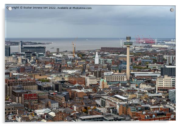 The city of Liverpool from the tower of Liverpool Cathedral Acrylic by Eszter Imrene Virt