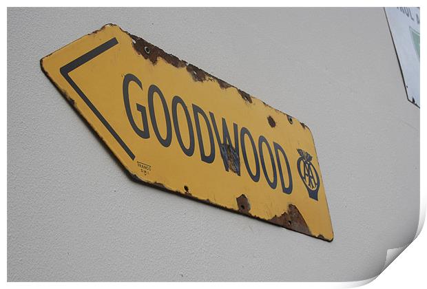 Goodwood Print by freddie pickering