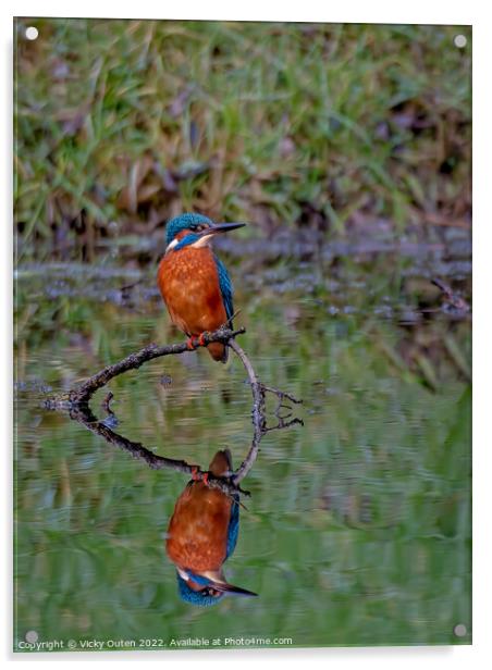 A kingfisher & reflection perched on a tree branch, Merseyside Acrylic by Vicky Outen