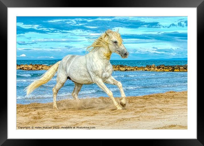 Camargue white stallion HDR Framed Mounted Print by Helkoryo Photography