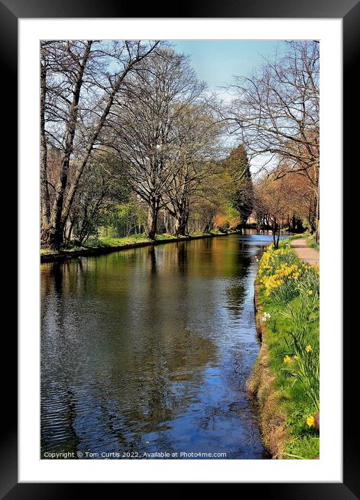 Ripon Canal North Yorkshire Framed Mounted Print by Tom Curtis