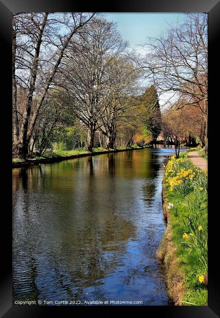 Ripon Canal North Yorkshire Framed Print by Tom Curtis