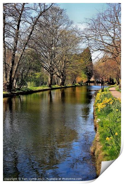 Ripon Canal North Yorkshire Print by Tom Curtis